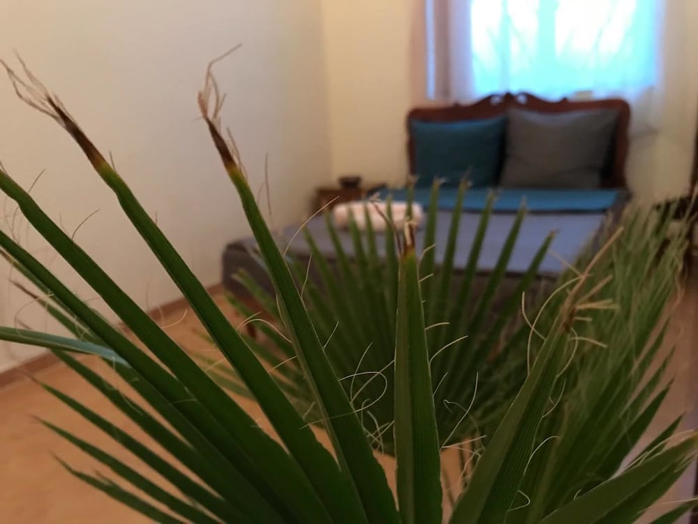 Фото Light Guest House