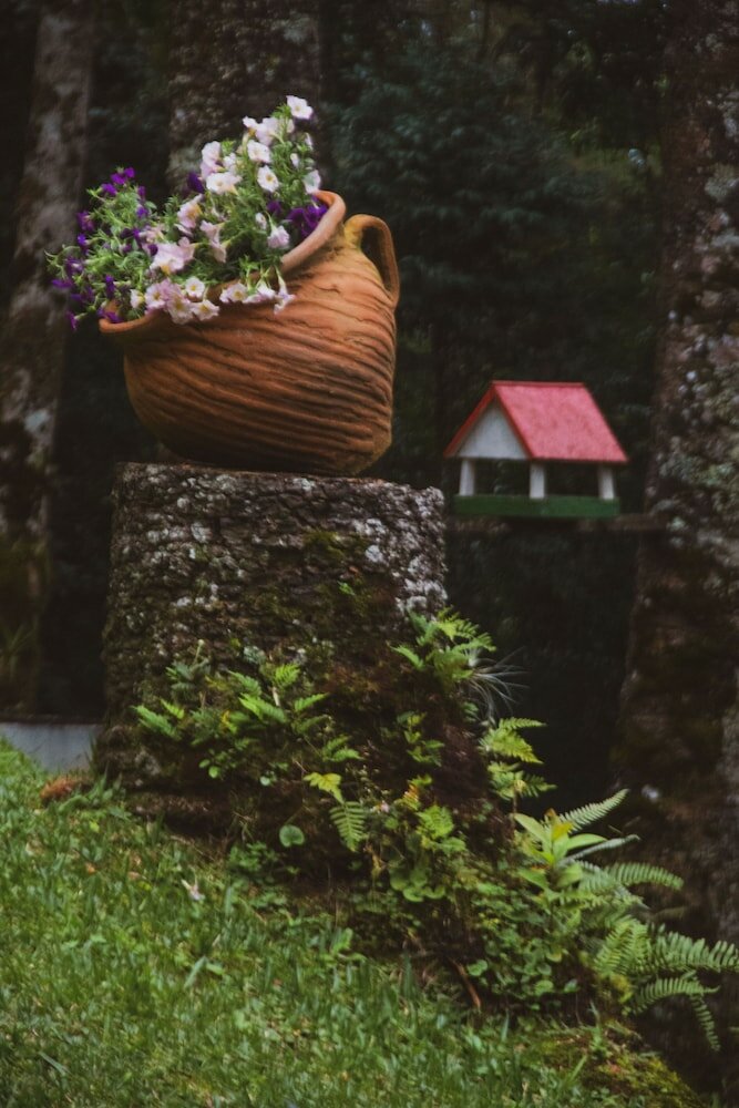 Фото Estalagem Serra de Minas