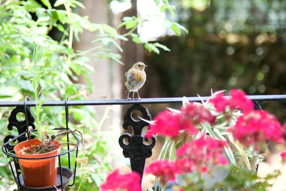 Фото The Chelsea Apartment