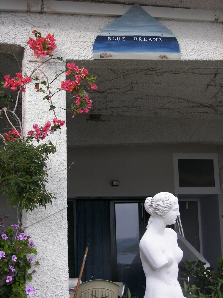 Фото Blue Dreams