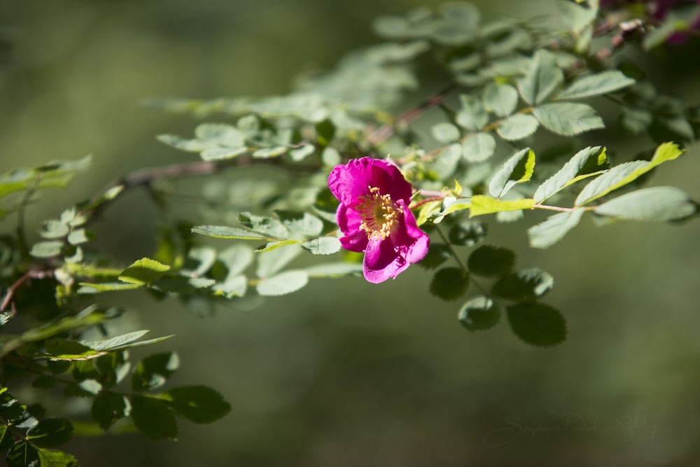 Фото Riversong Centre Thermal