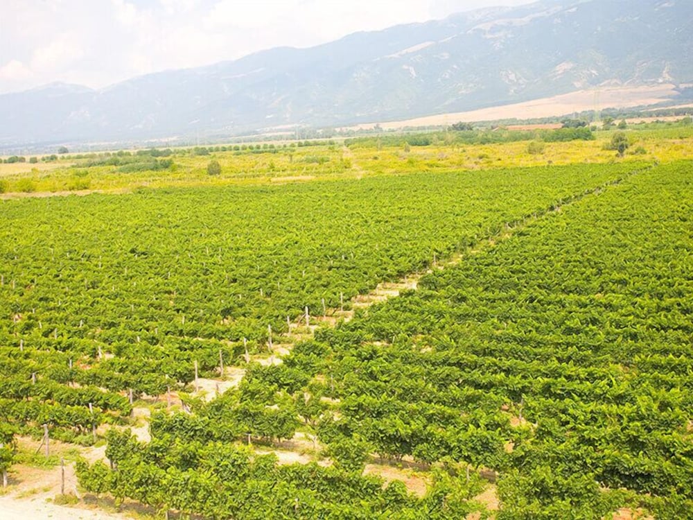 Фото Maison & Chateau Copsa