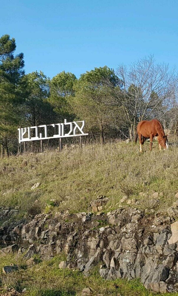 Фото Aloney HaBashan - Guest Village