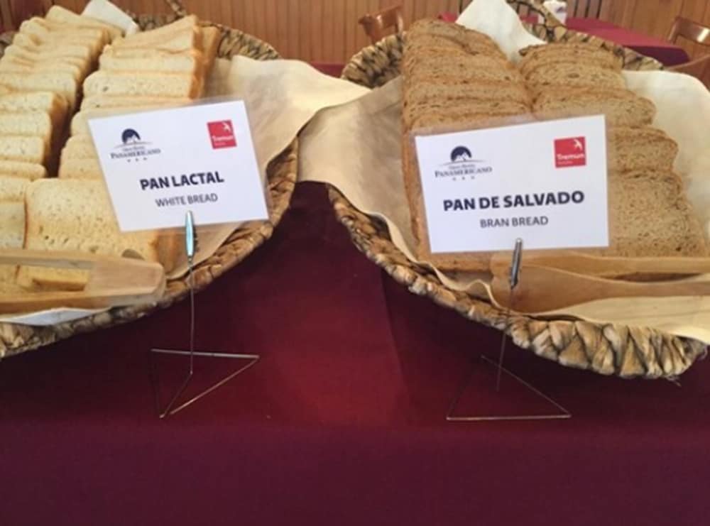 Фото Gran Hotel Panamericano