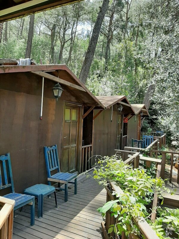 Гостиница Olympos Altaris Pansiyon в Кумлудже