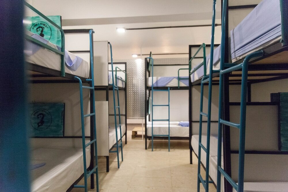 Фото Bunky Monkey - Hostel