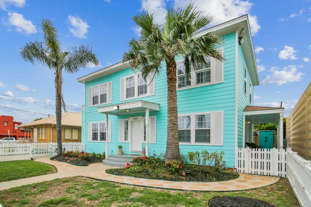 Фото The Turquoise Turtle