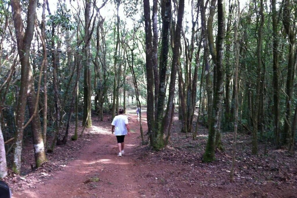 Фото Hirondelle Paraíso