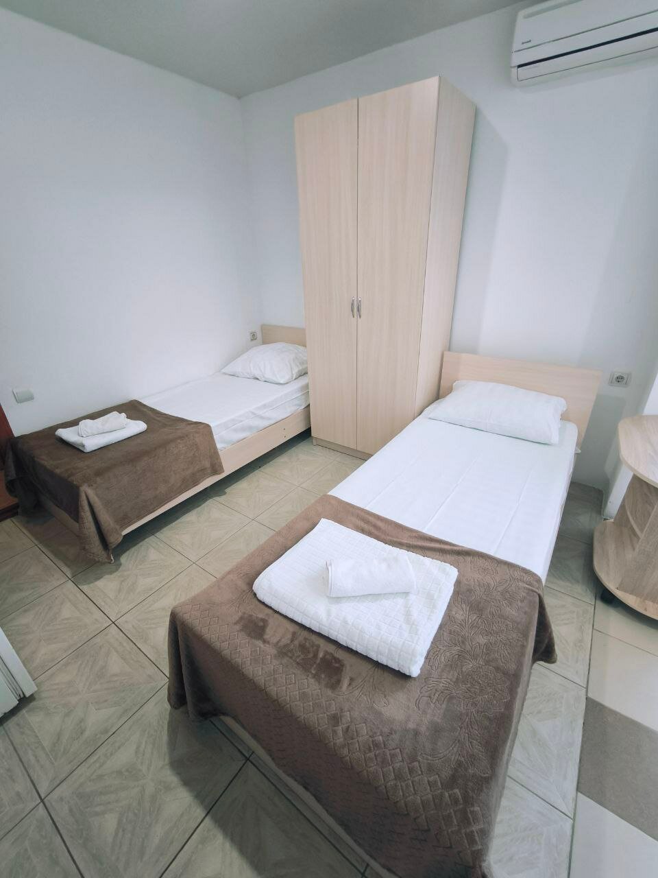 Фото Пальма