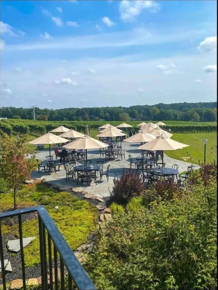 Фото Wine Valley Bungalow