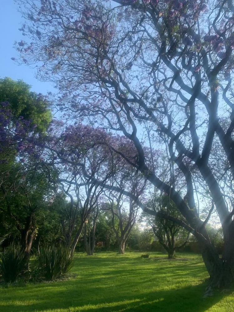 Фото Hacienda Tzintzimeo