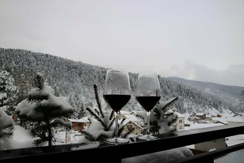 Гостиница Cota1110 в Софийской области