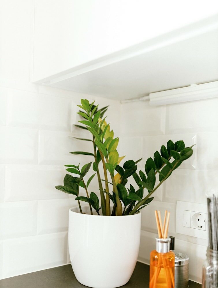 Фото Violet Maison