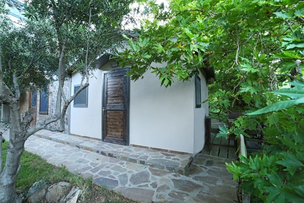 Фото Captain Ikaros