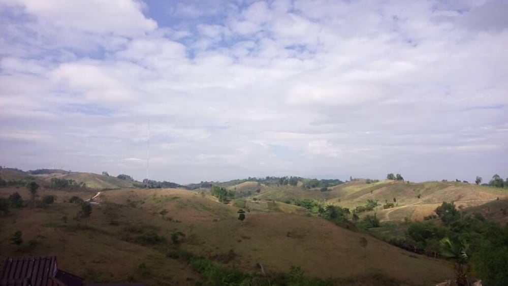 Фото Lovely Farm