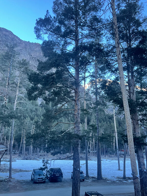 Фото Эко Хаус