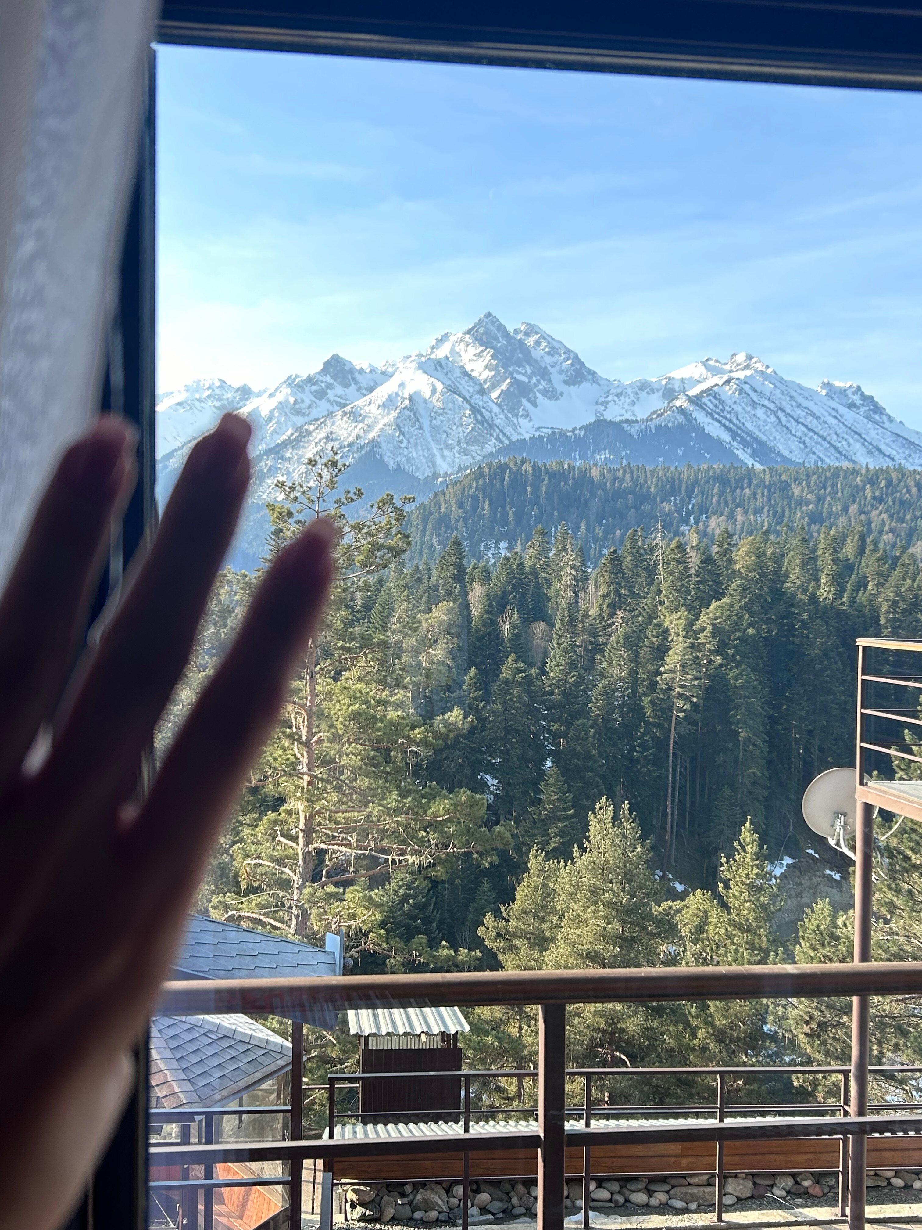 Фото Вудберг