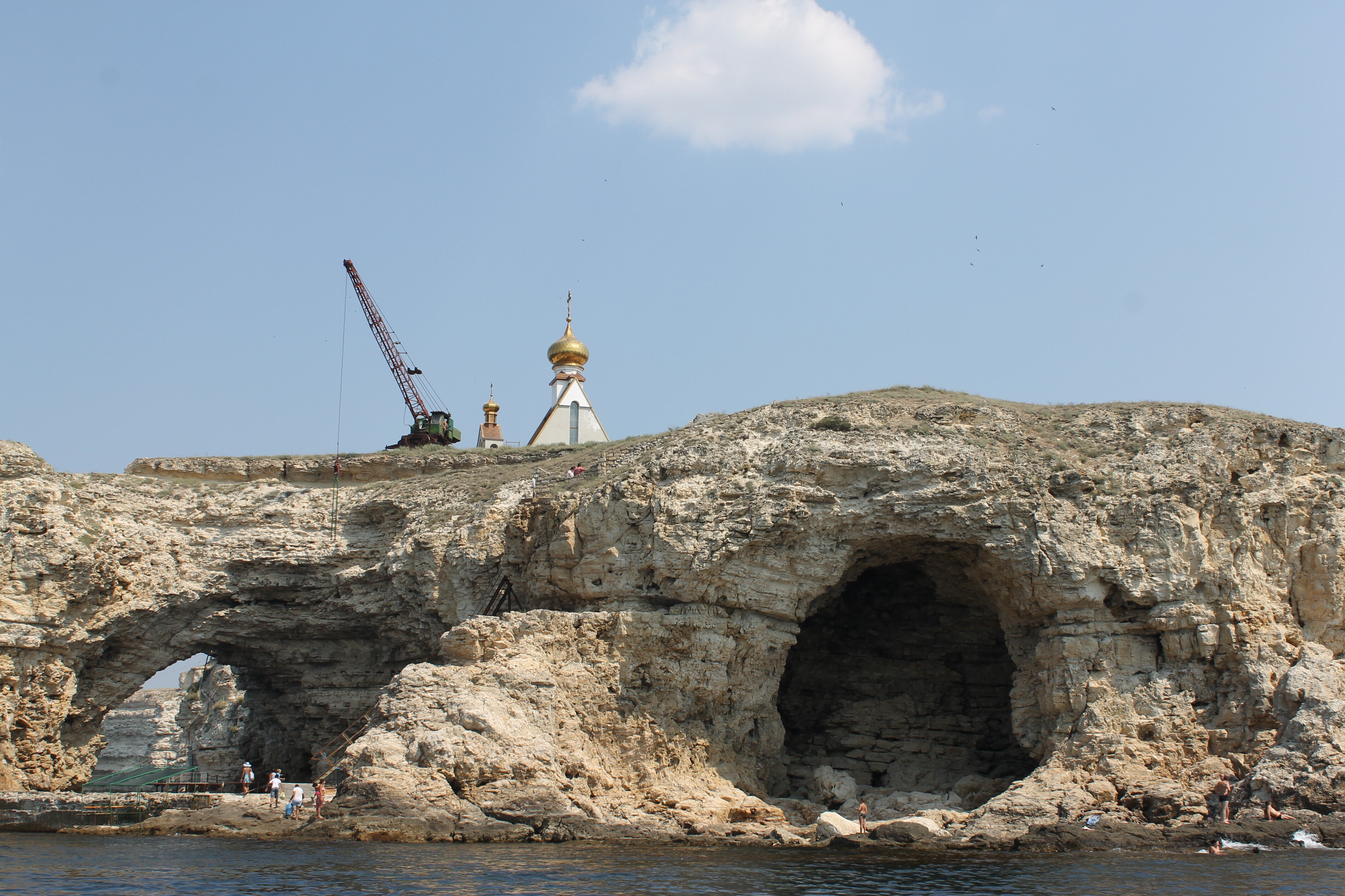 Фото Афалина