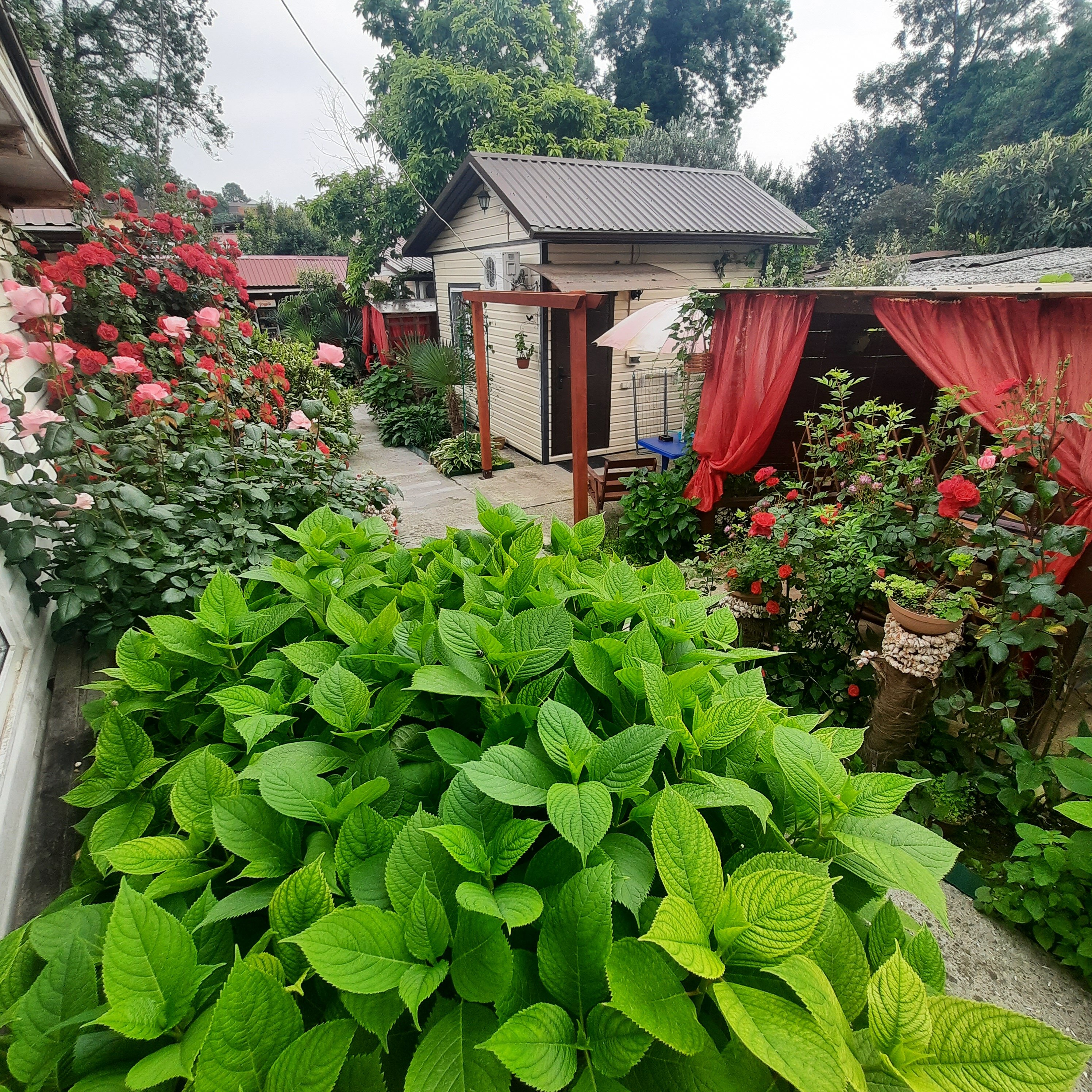 Фото Усадьба