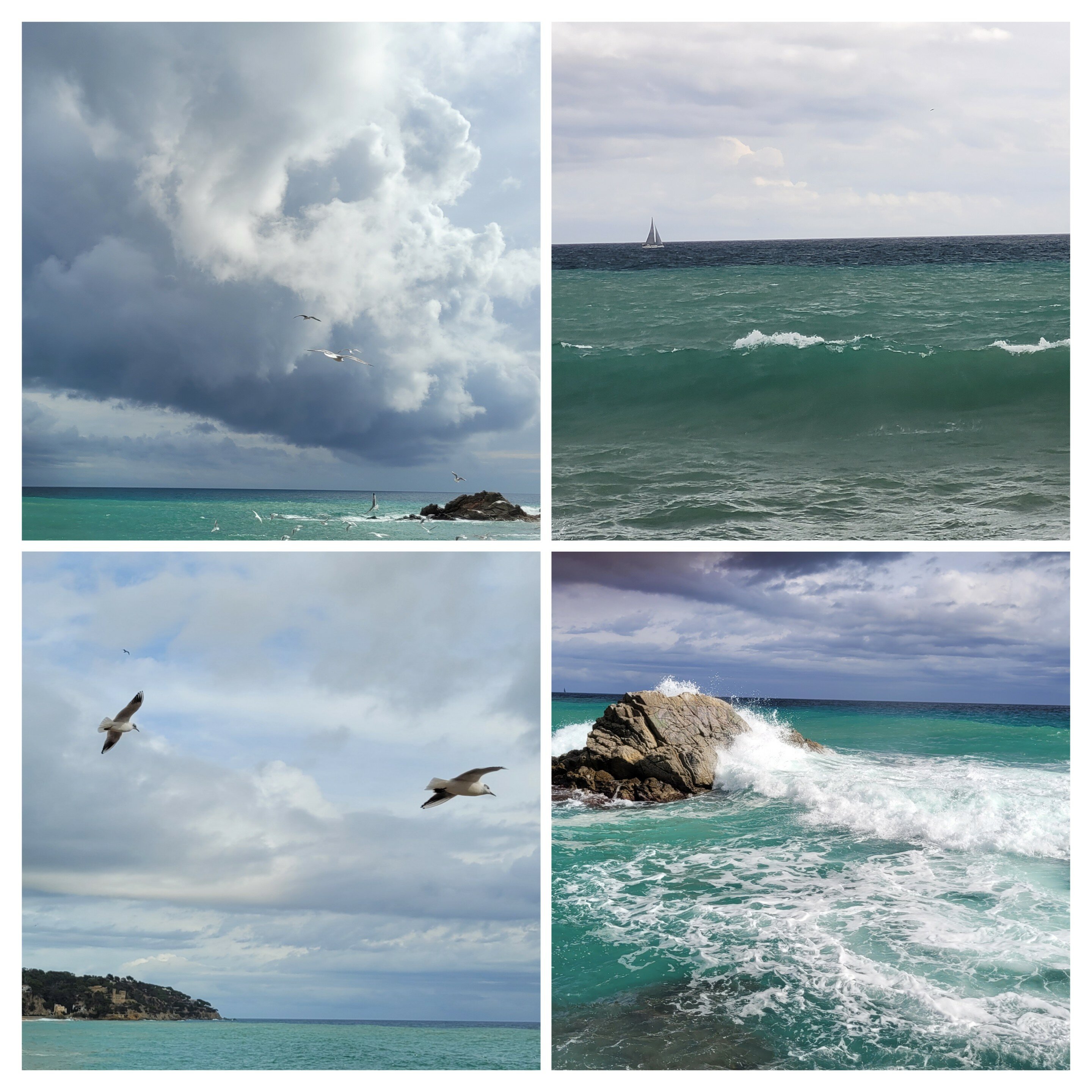 Фото L’Azure Hotel