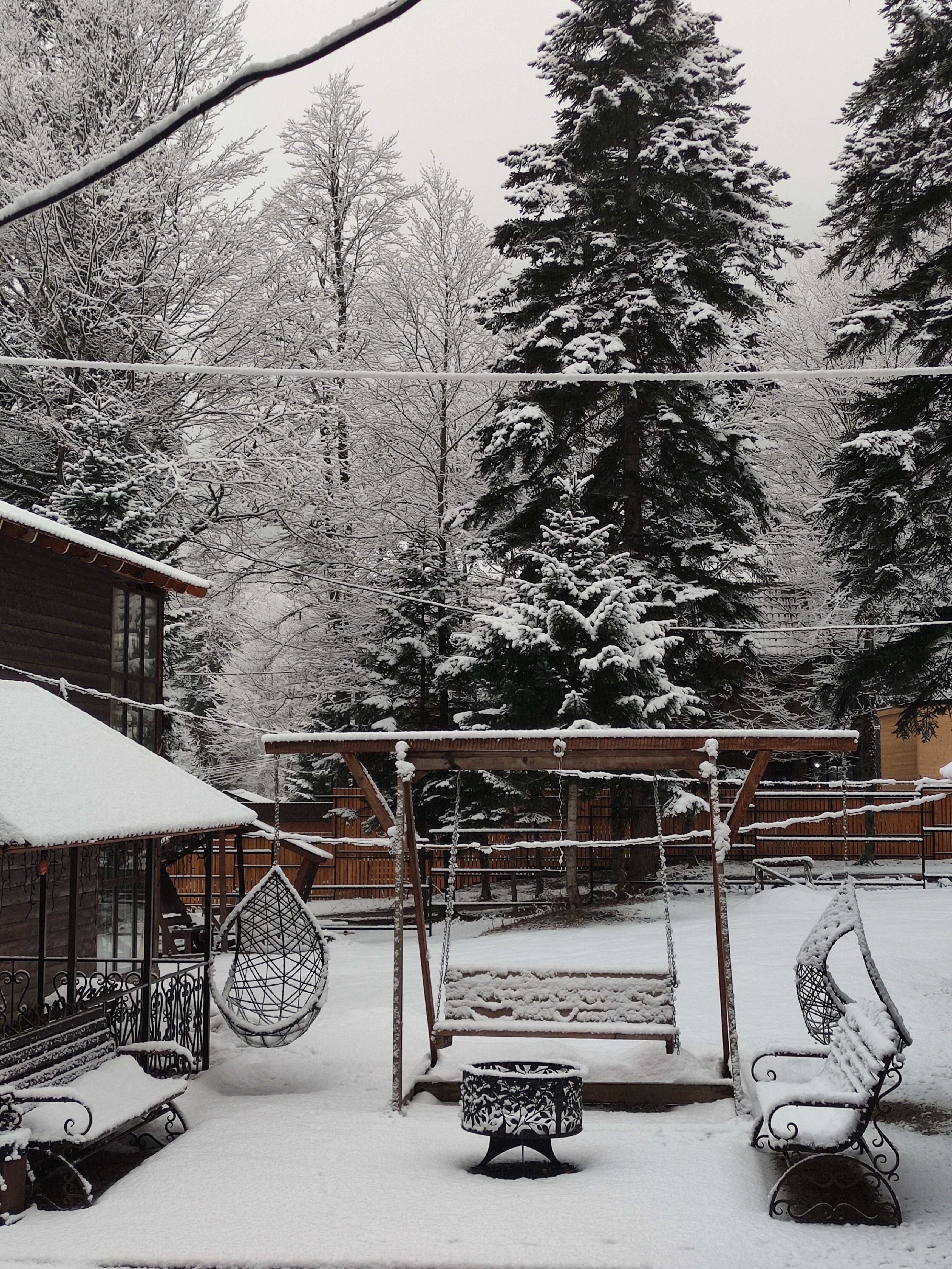 Фото Forest Yard