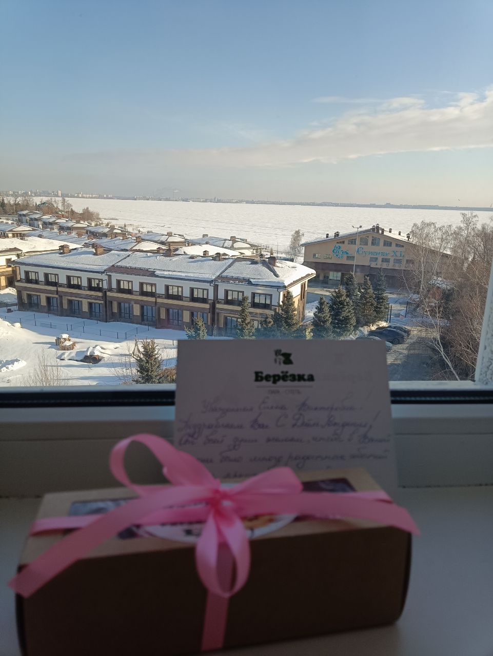 Фото Берёзка