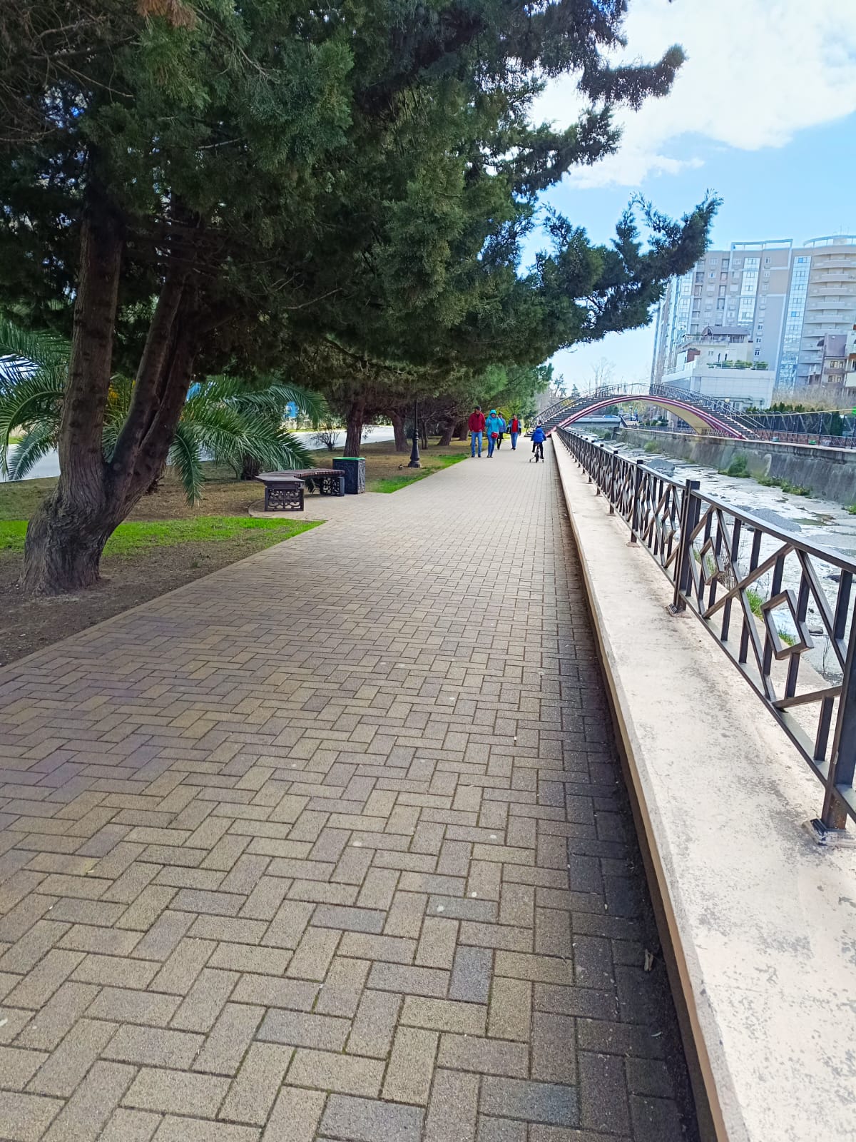 Фото Вечные лета