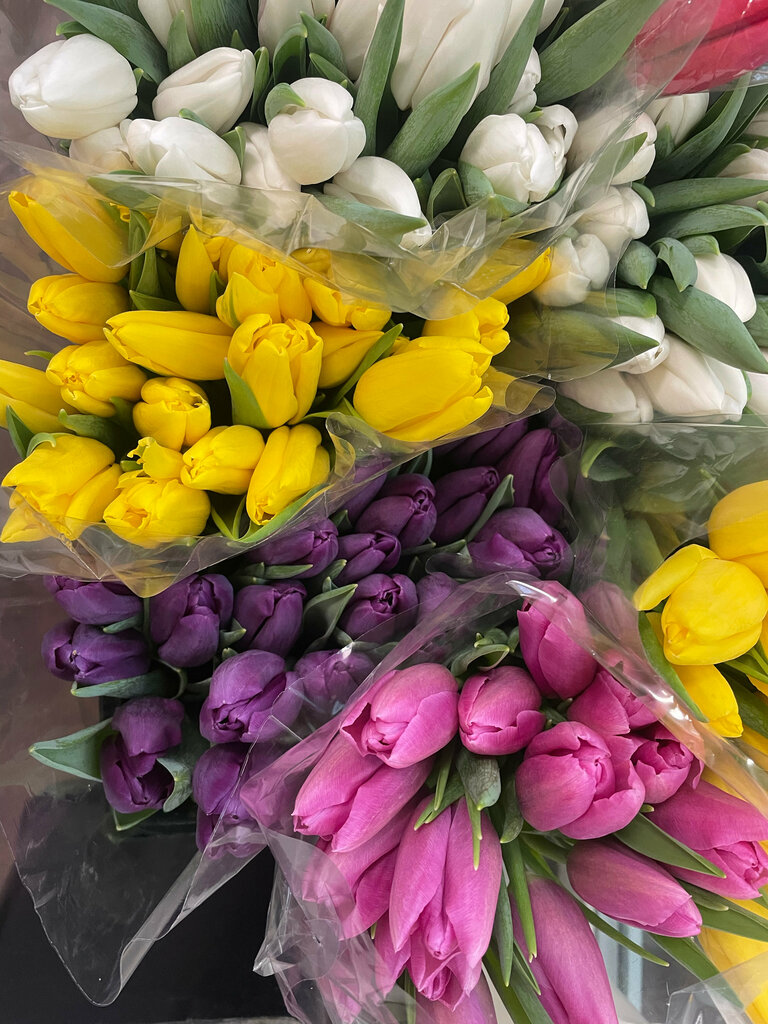 Flower shop Tulpaniko, Moscow, photo