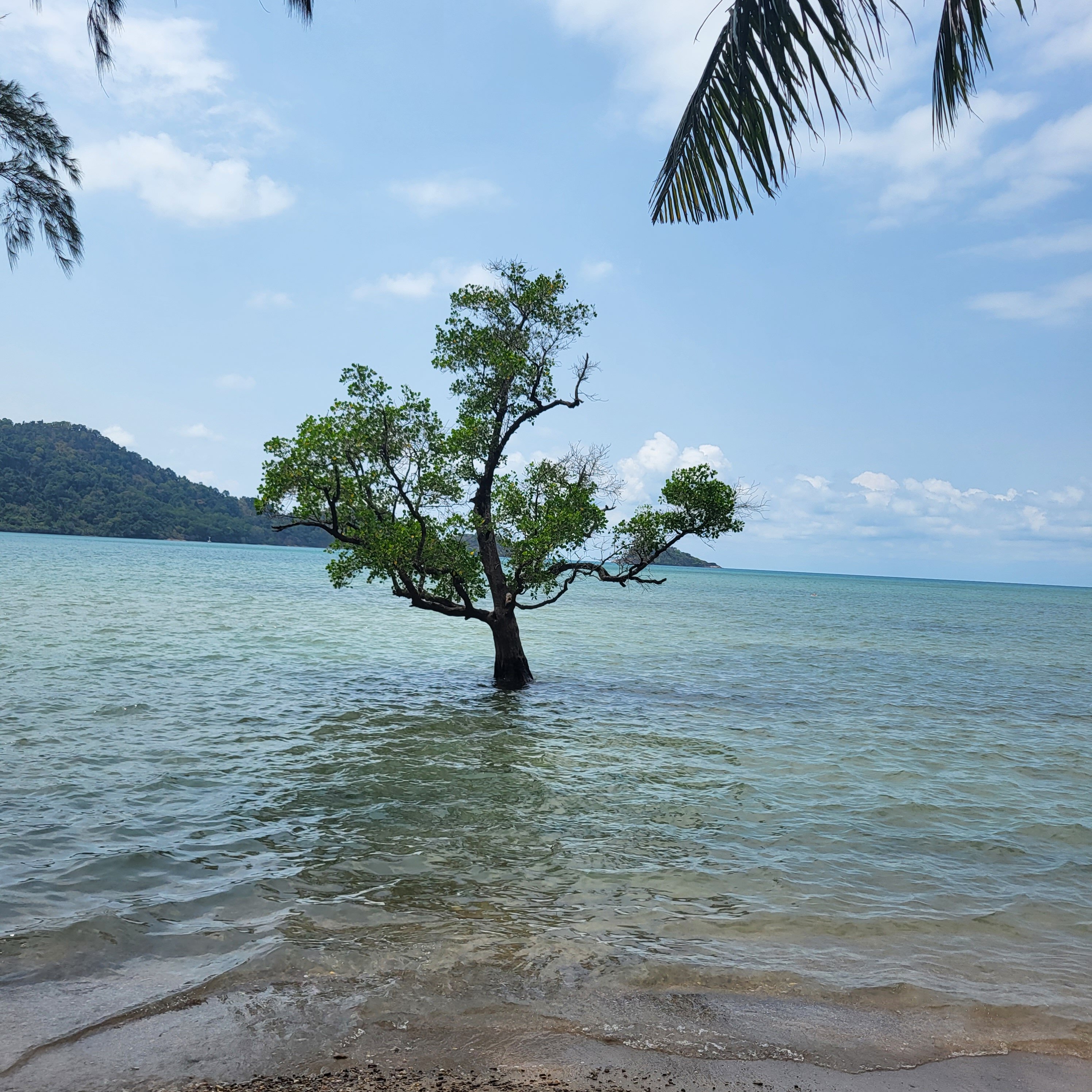 Фото Marina Sands Resort