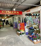 Семена (Интернациональная улица, 130Б), tienda de semillas