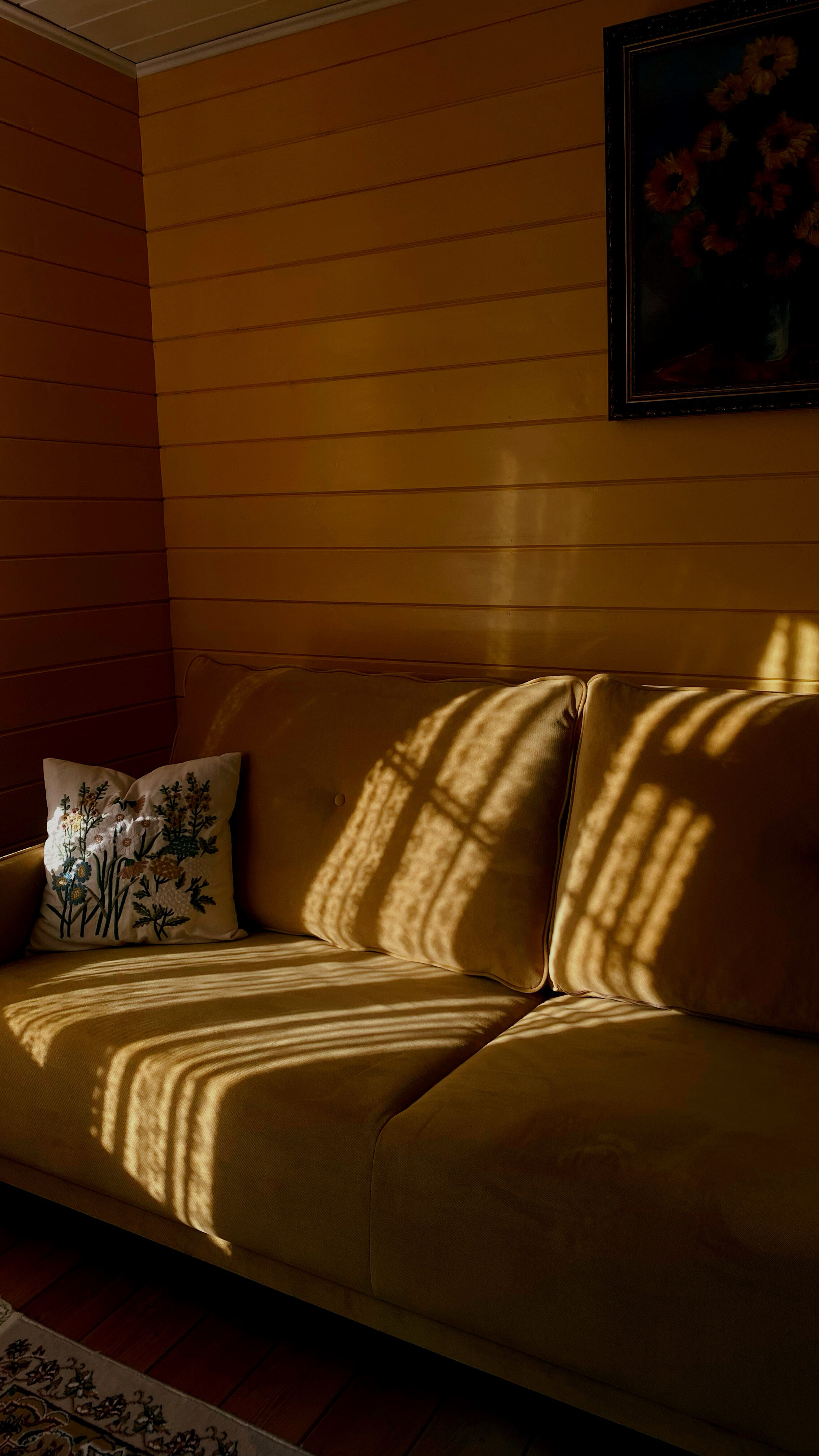 Фото Веселёво. Дача