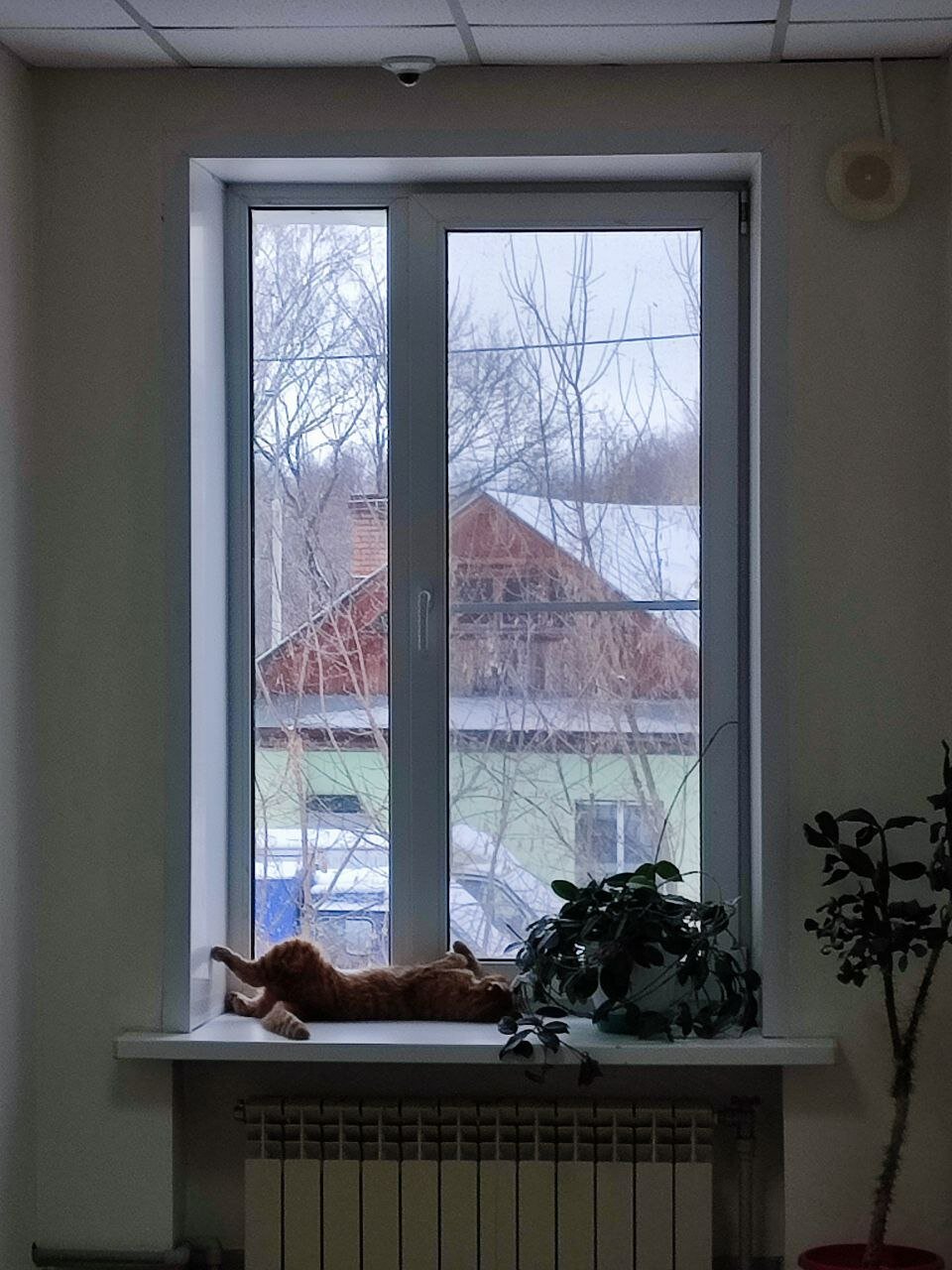 Фото На Казанской