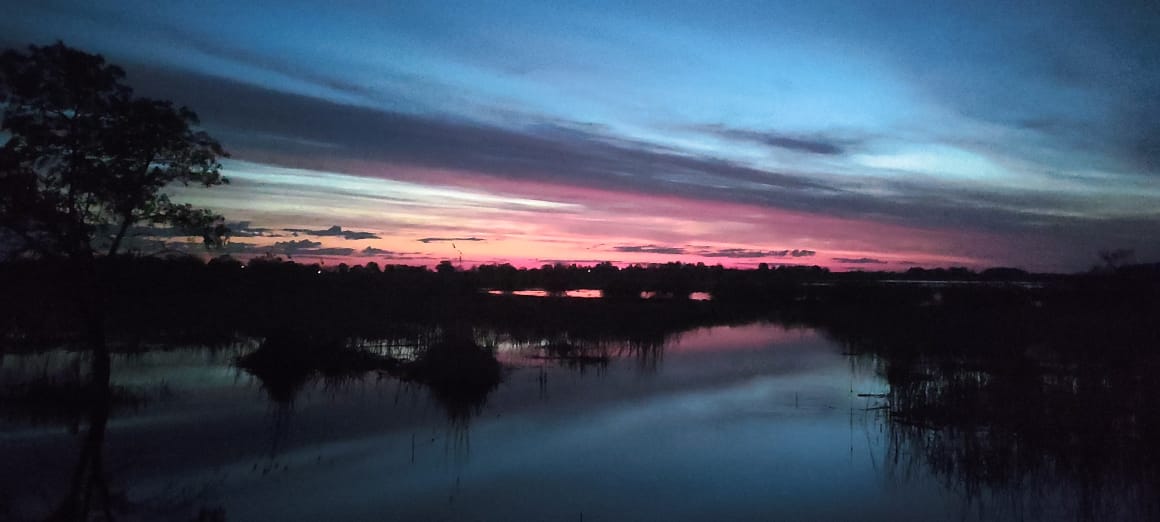 Фото У Анатолича