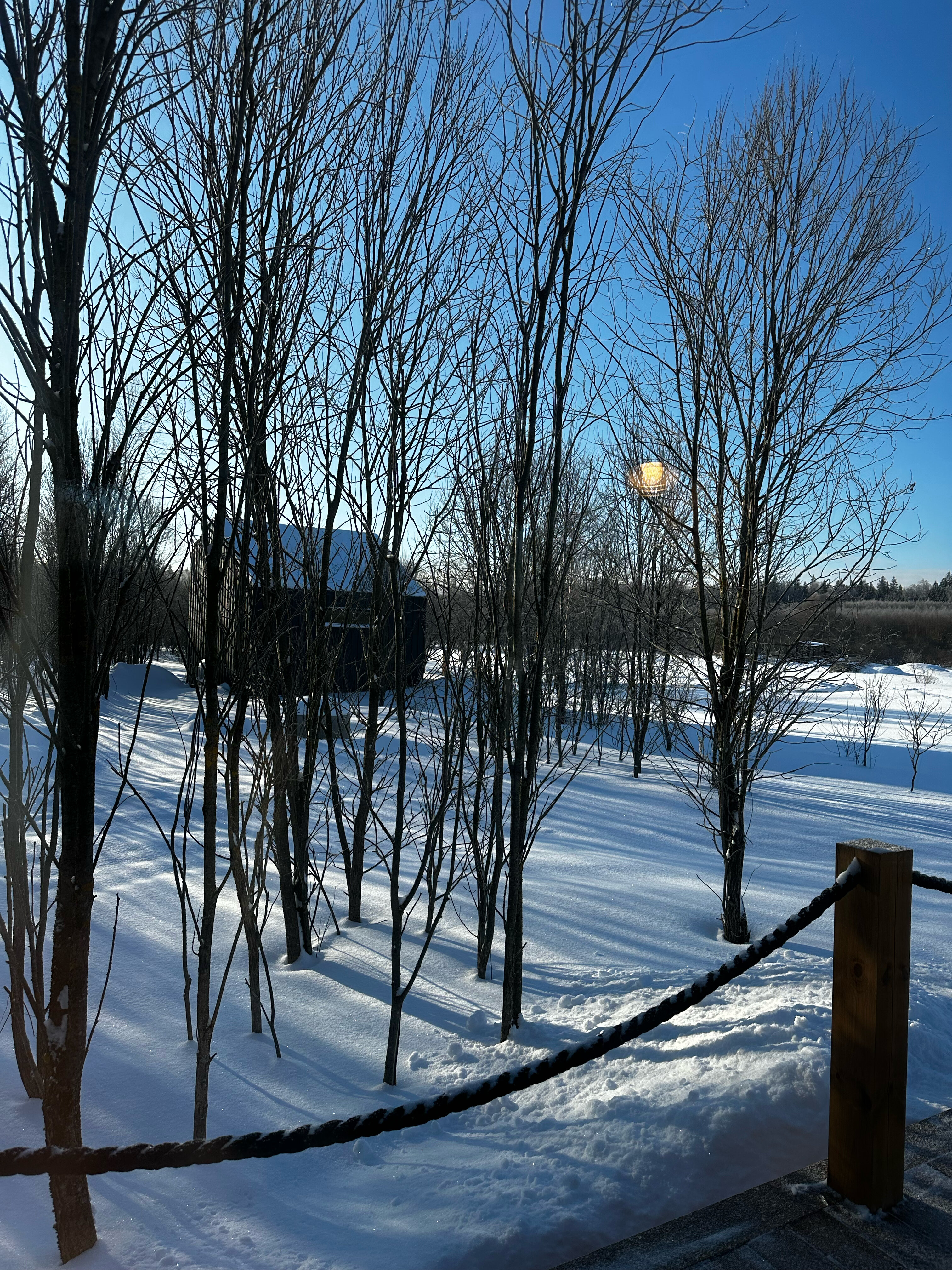 Фото Zefirka camp