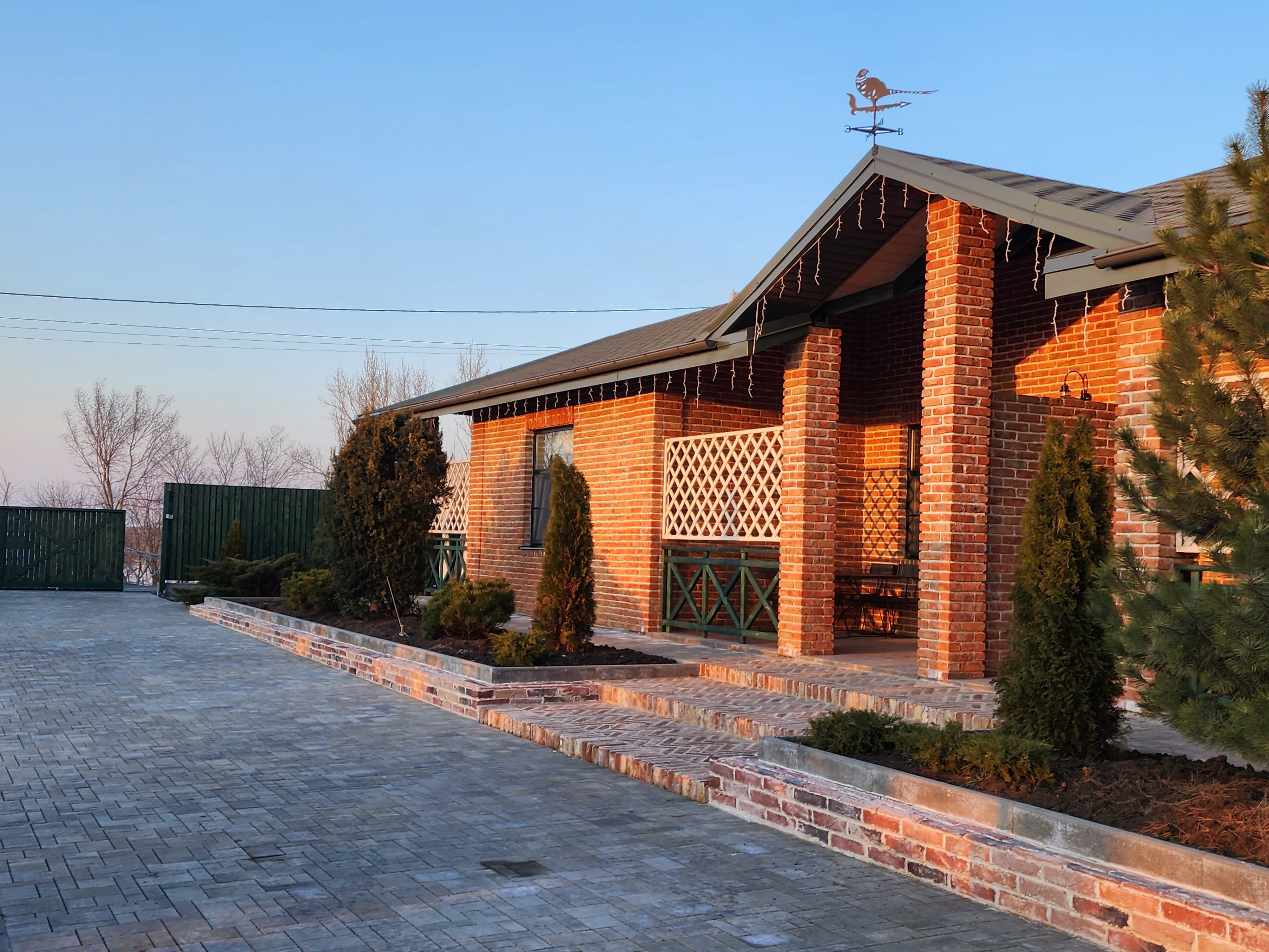 Фото Фазаново