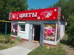 Цветы (ulitsa Chkalova, 33А), flower shop
