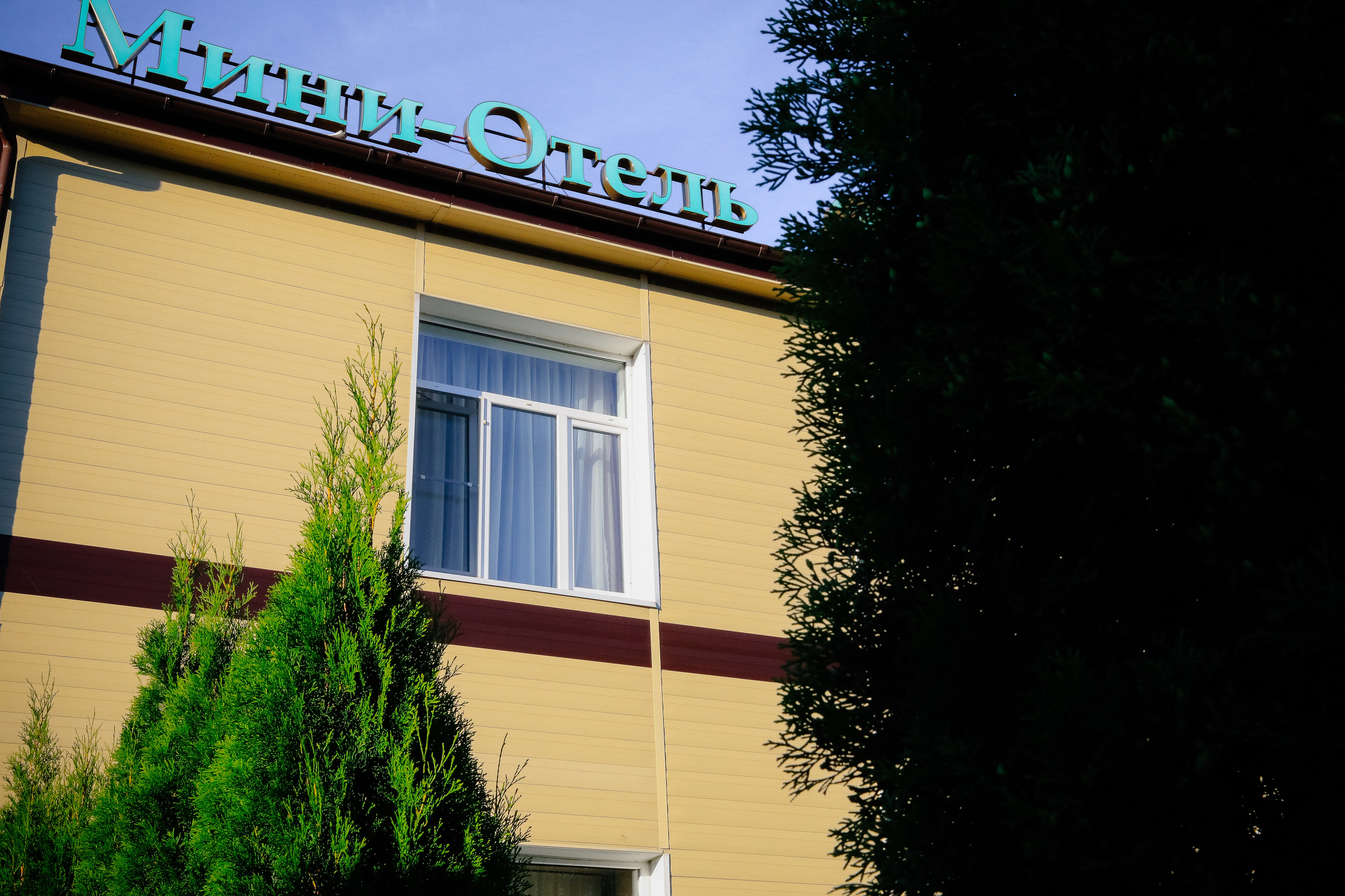 Фото Гостилицы