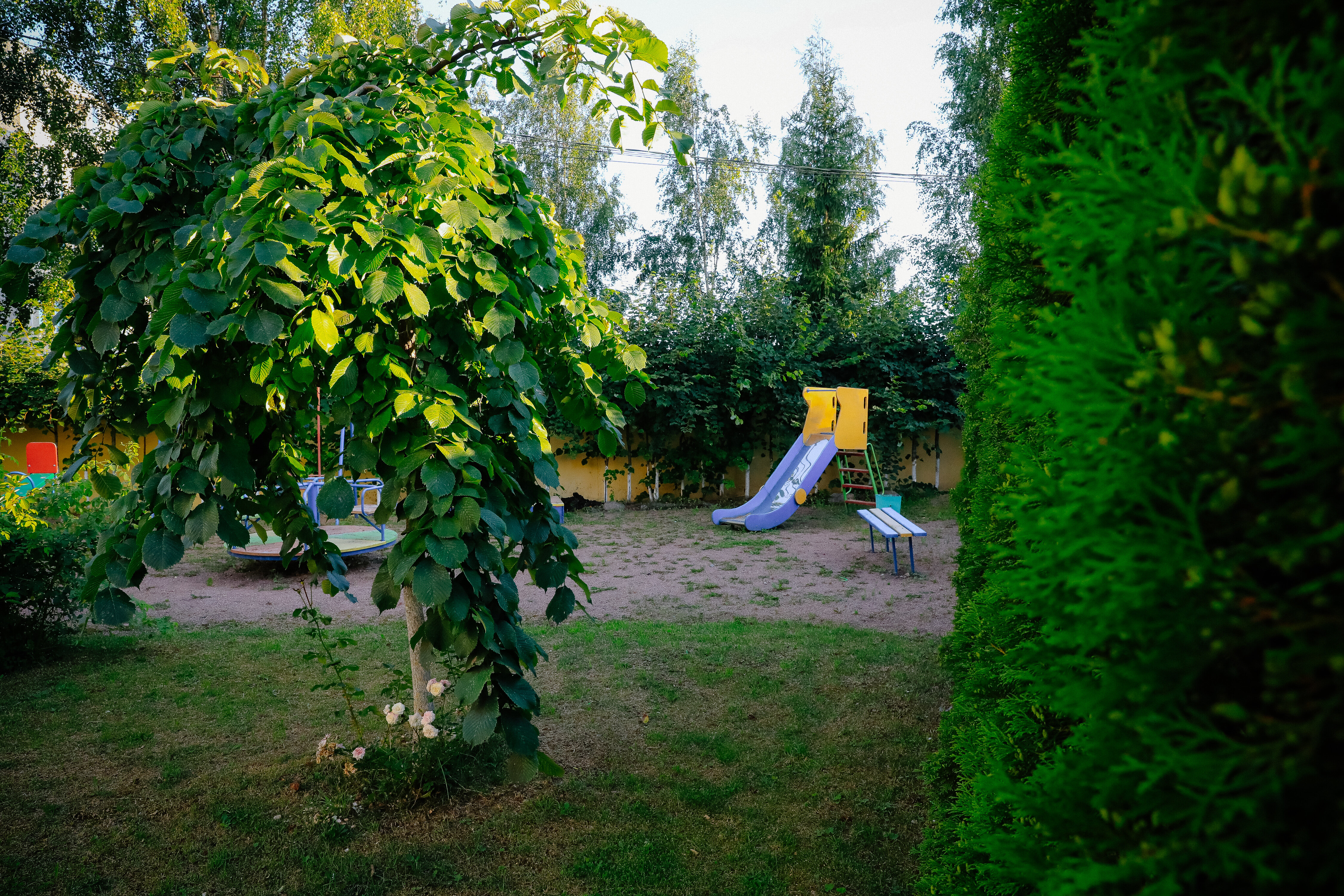 Фото Гостилицы