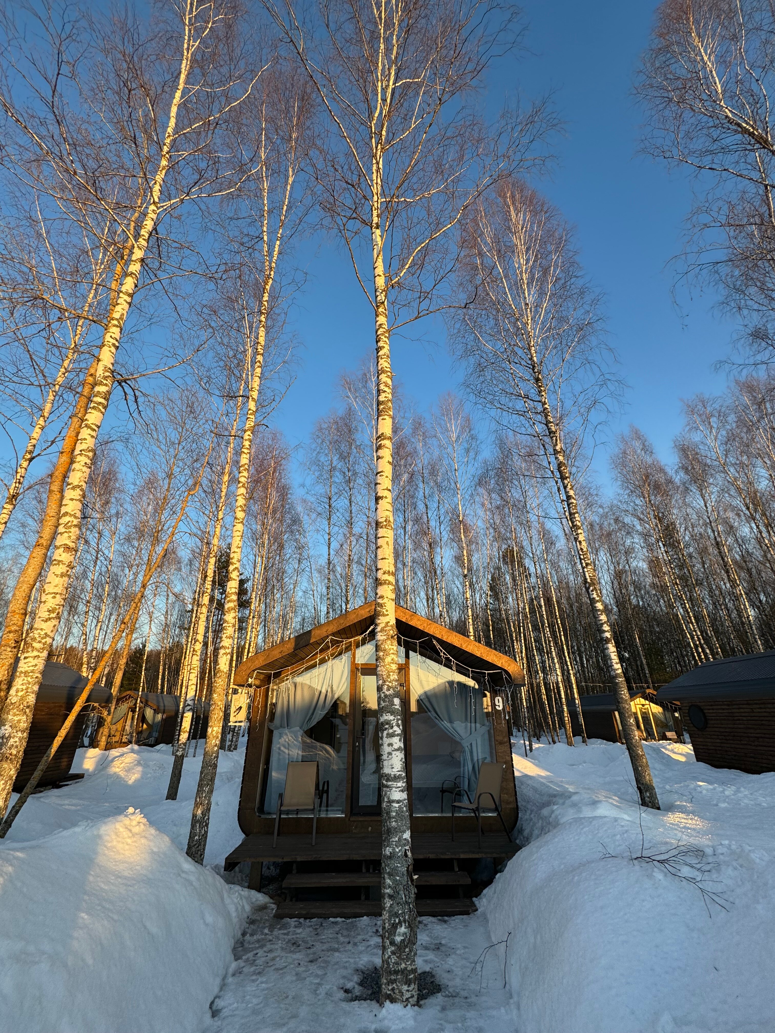 Фото Михеево Старт