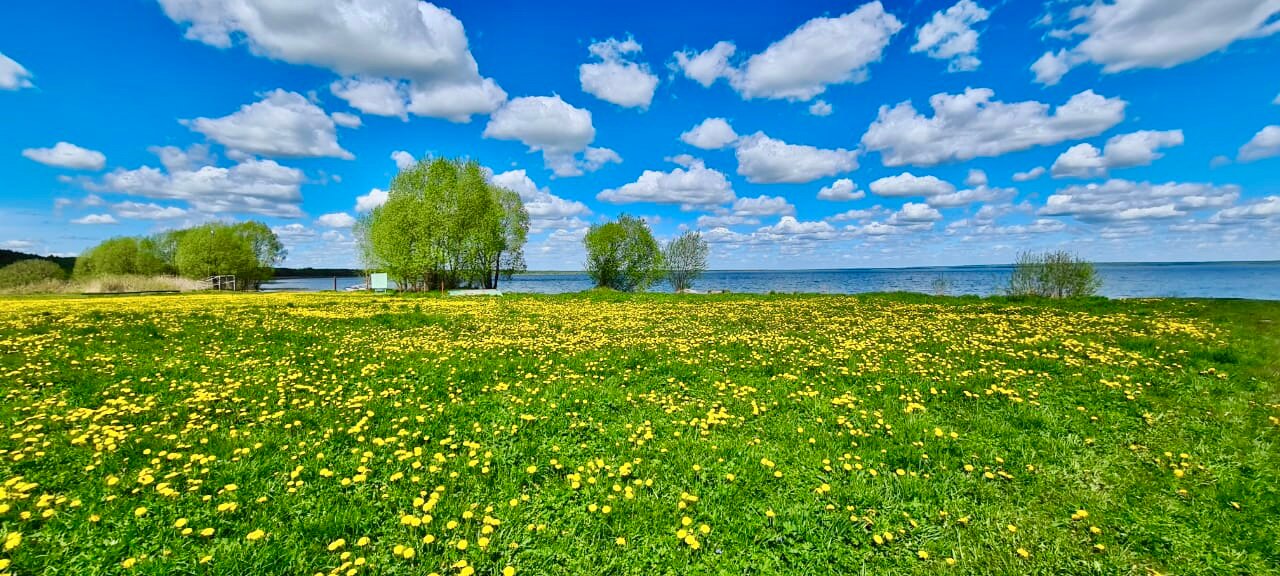 Фото Спутник