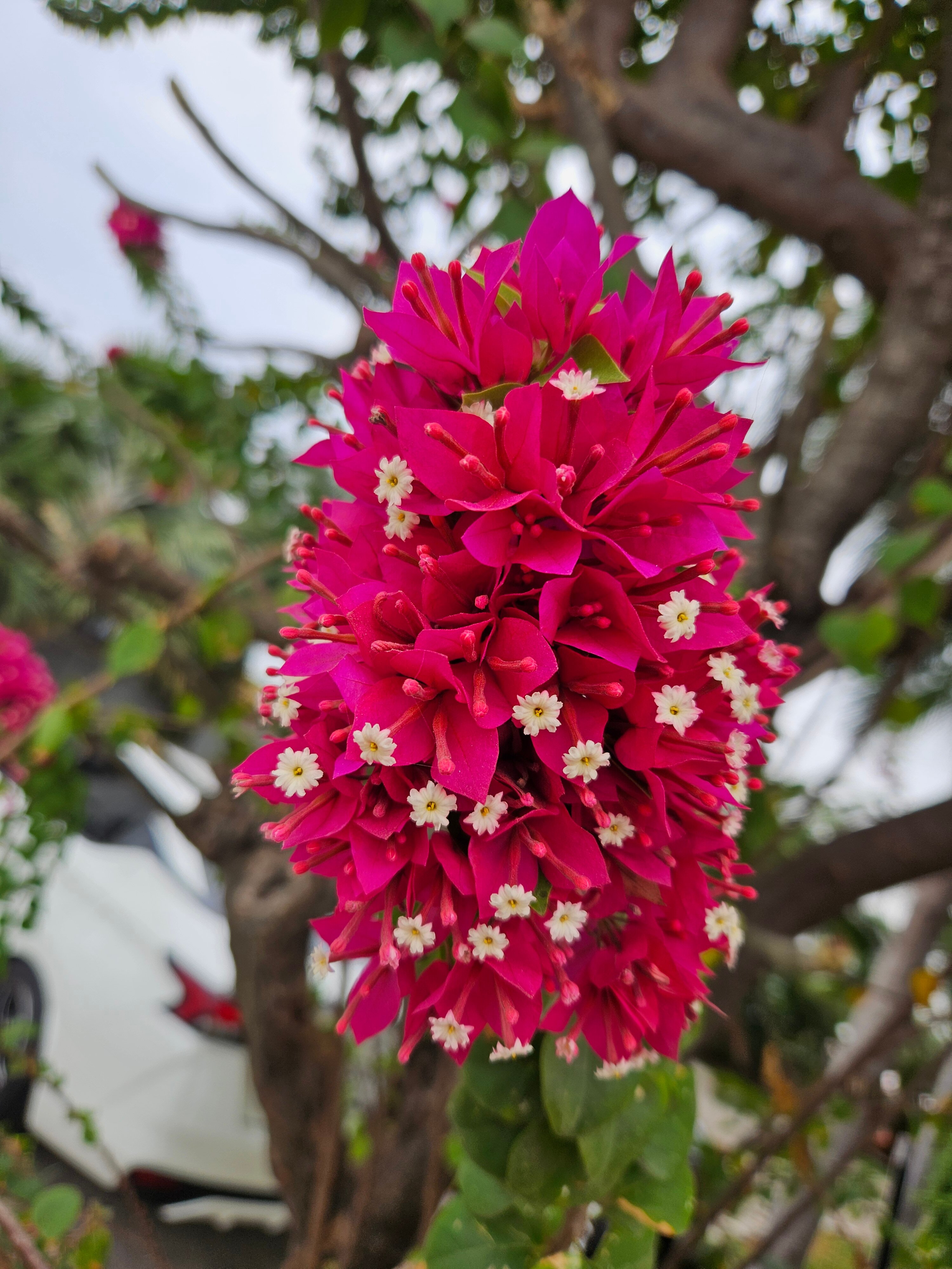Фото Silver Gold Garden Suvarnabhumi Airport Hotel