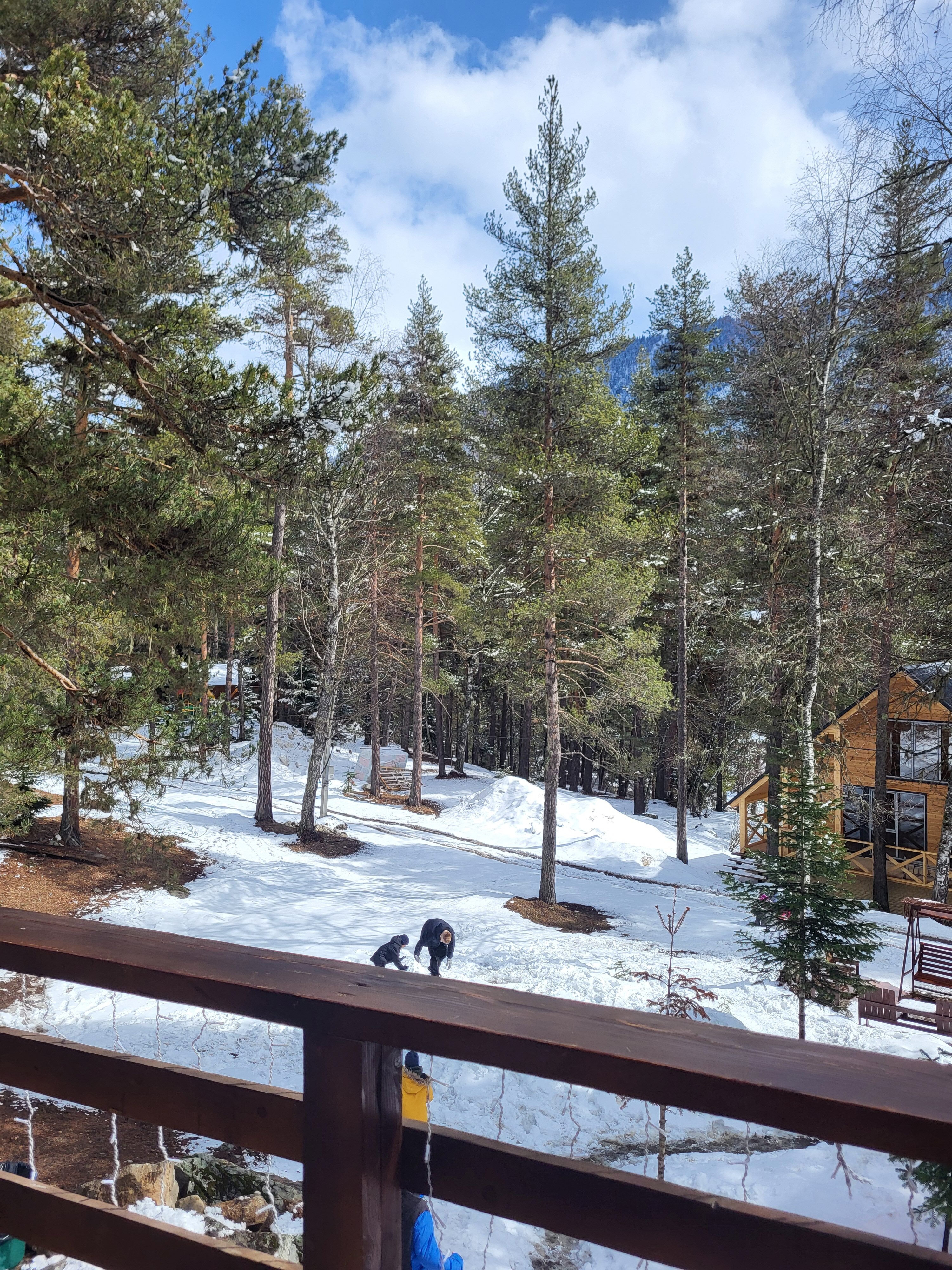 Фото Chalet_Family_Arkhyz