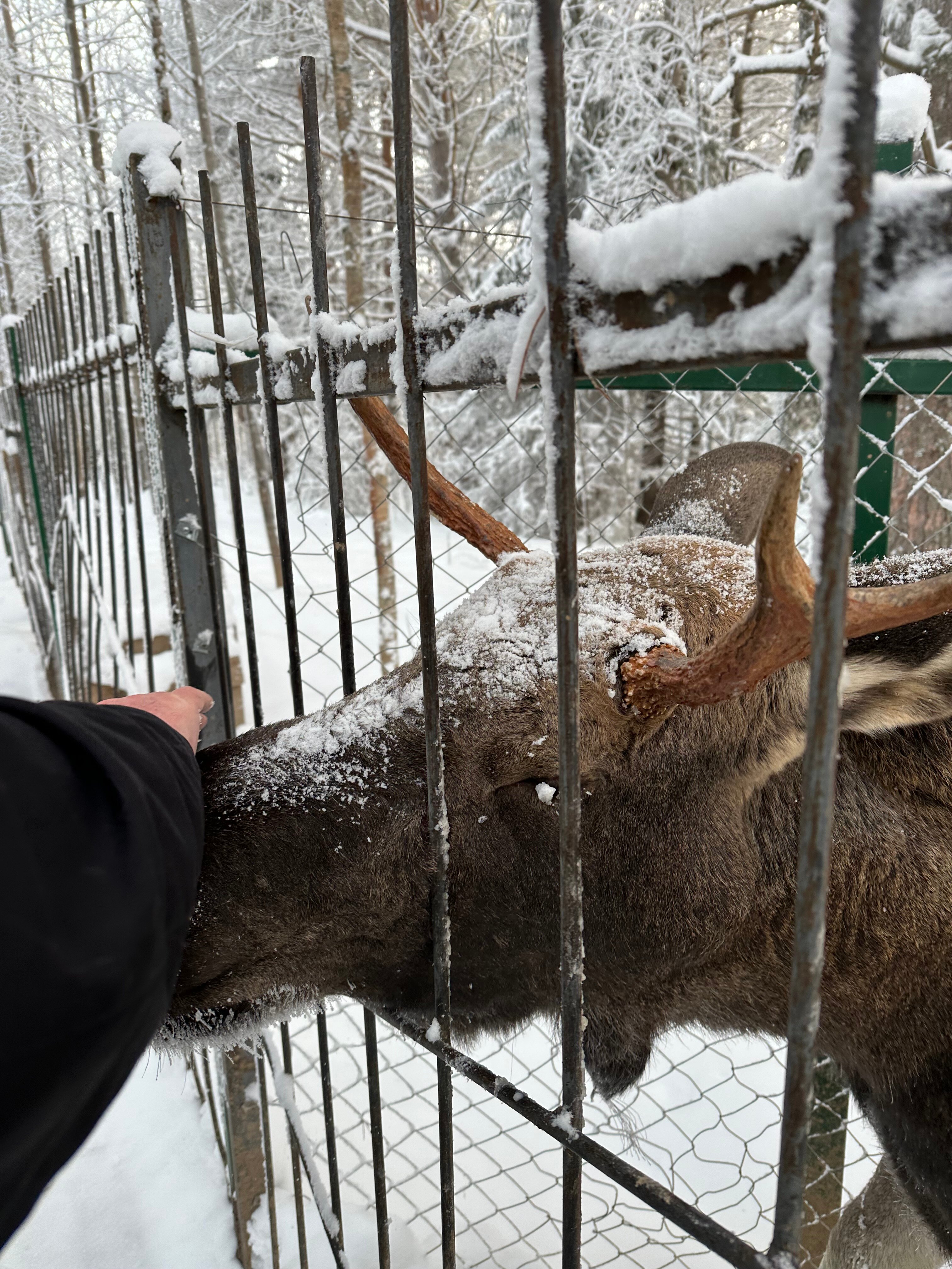 Фото Финноугория