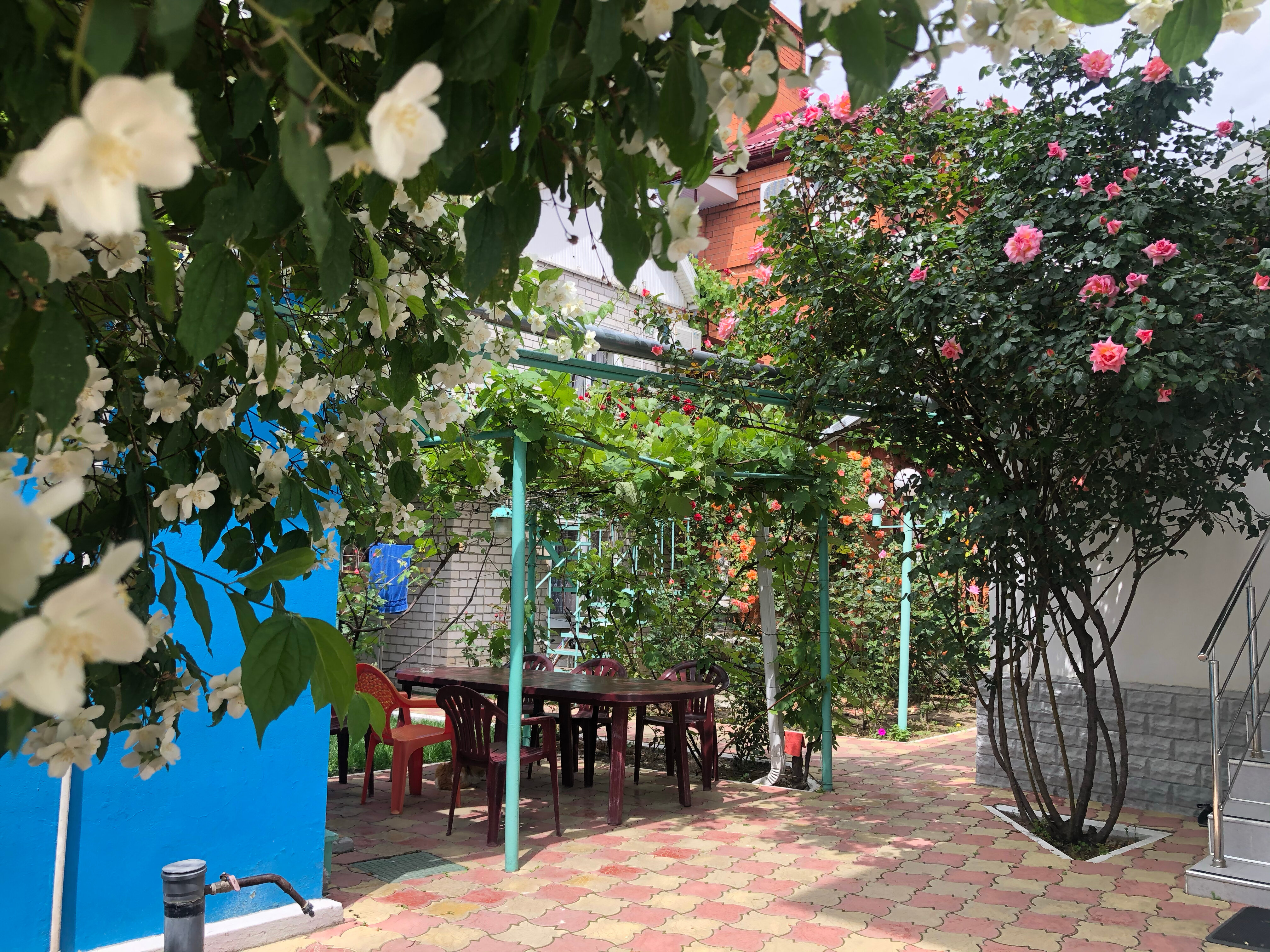 Фото Масловъ