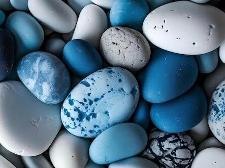 Фото Стиль Жизни