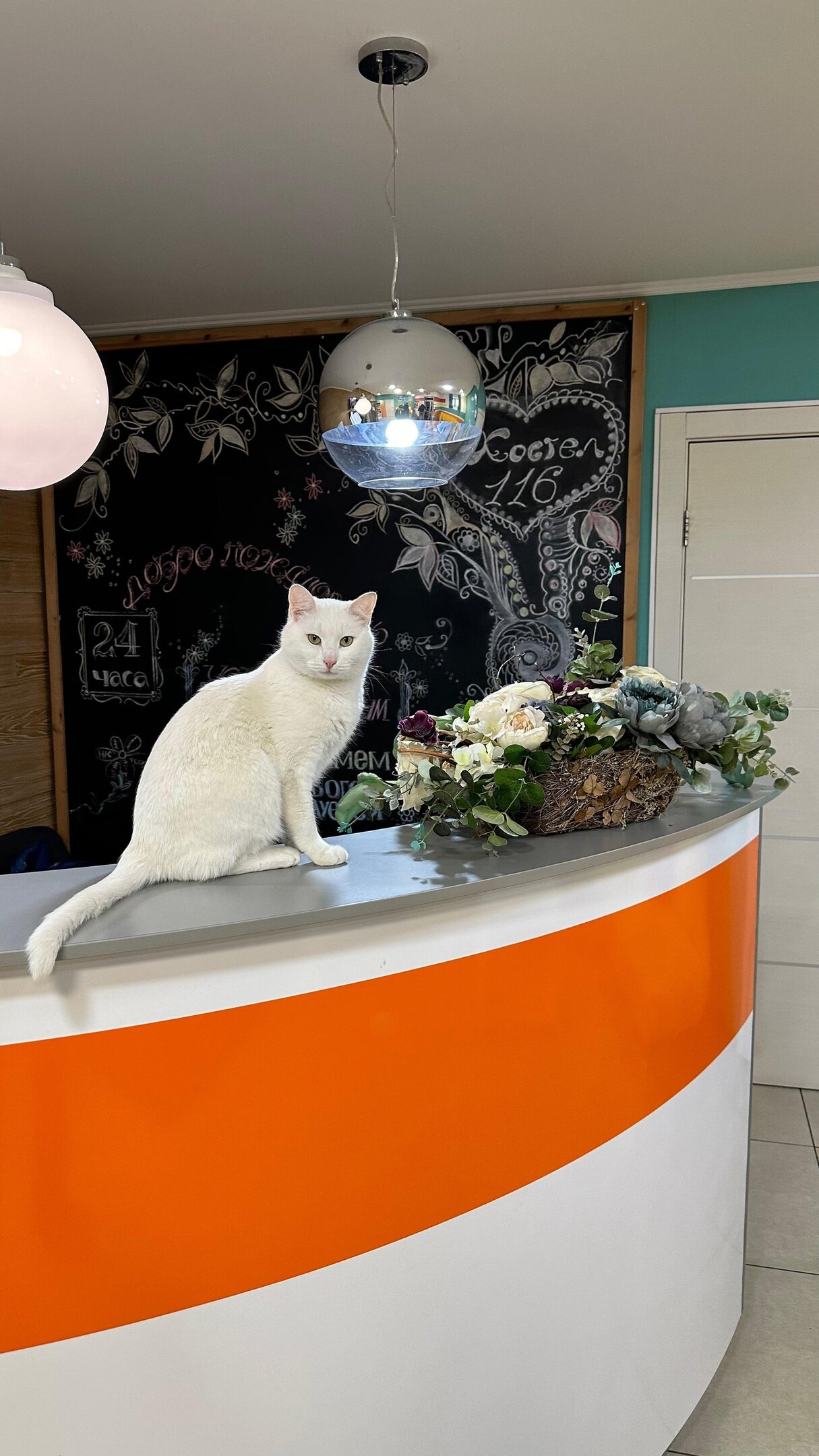 Фото Хостел 116