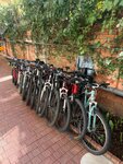 Велопрокат (Prosvescheniya Street, 121), bike rental