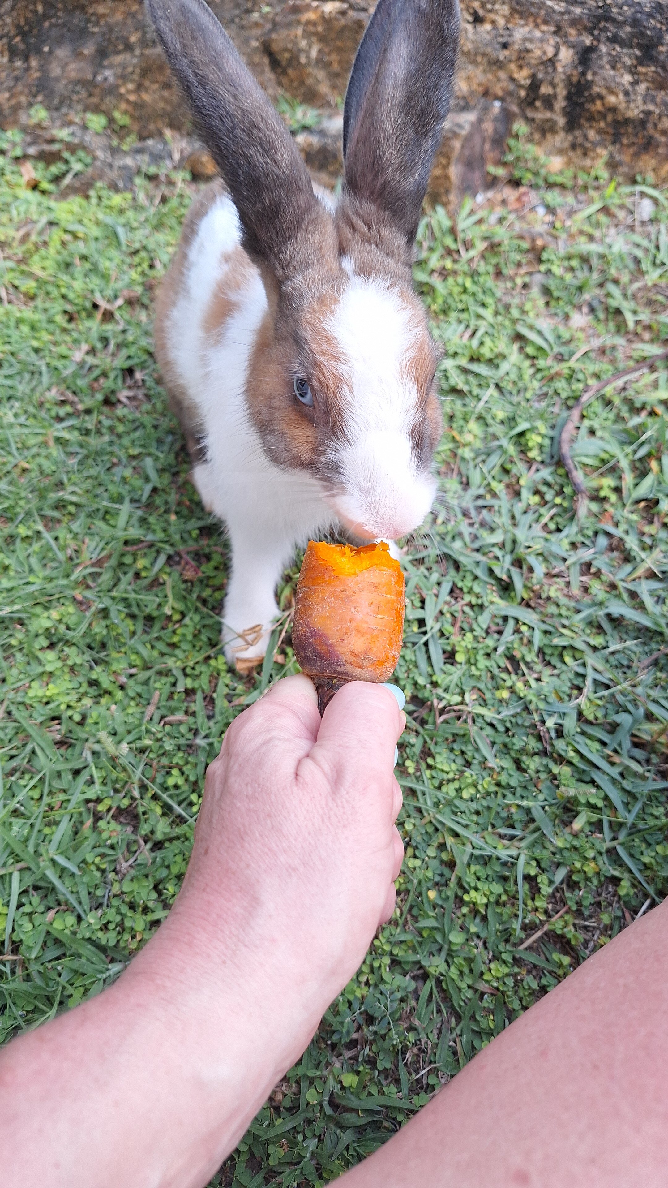 Фото Shanthi beach resort