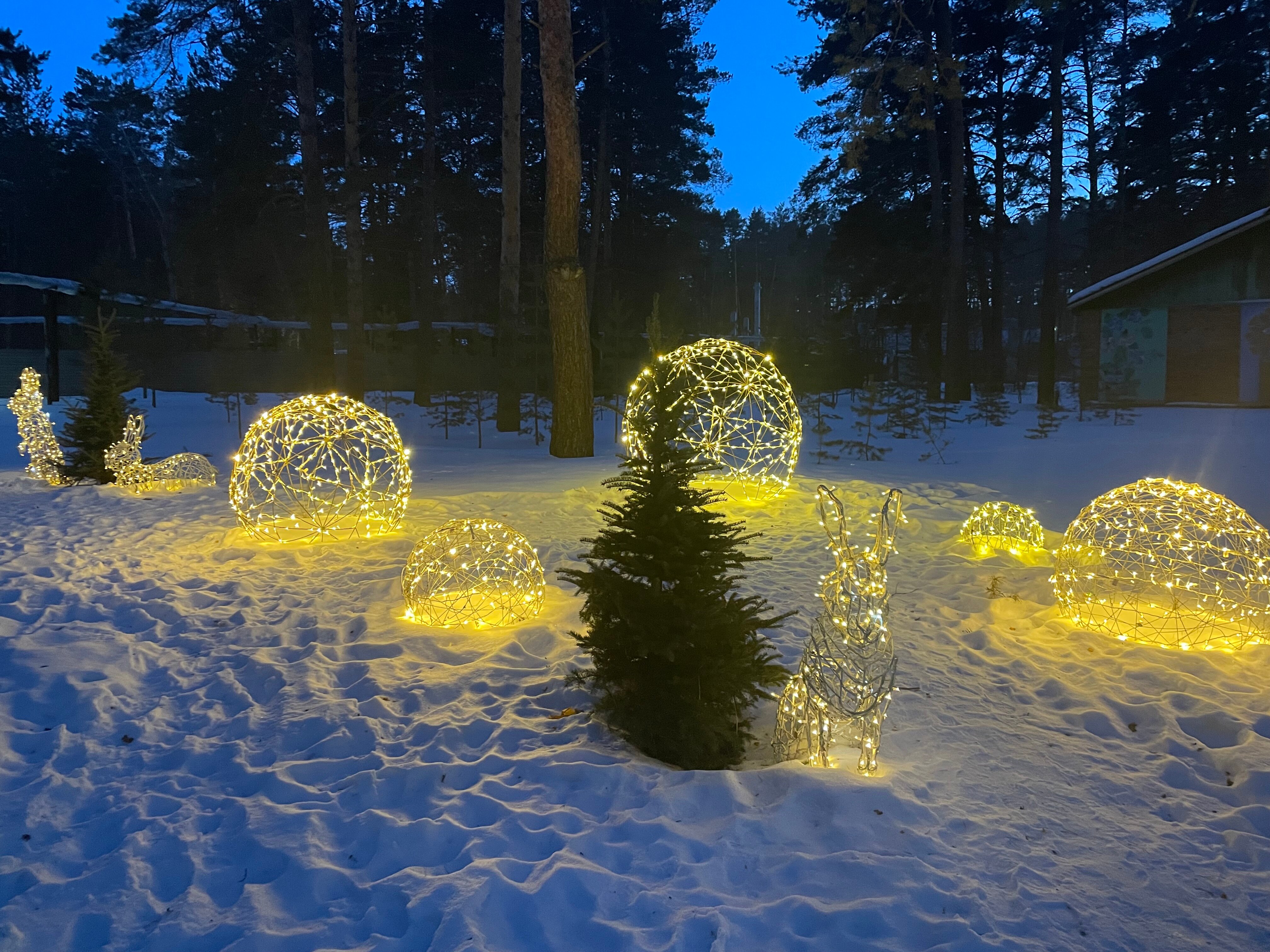 Фото Лесники, корпус № 3