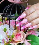 Pro Nails School (ulitsa Tyulyayeva, 16А), training of masters for beauty salons